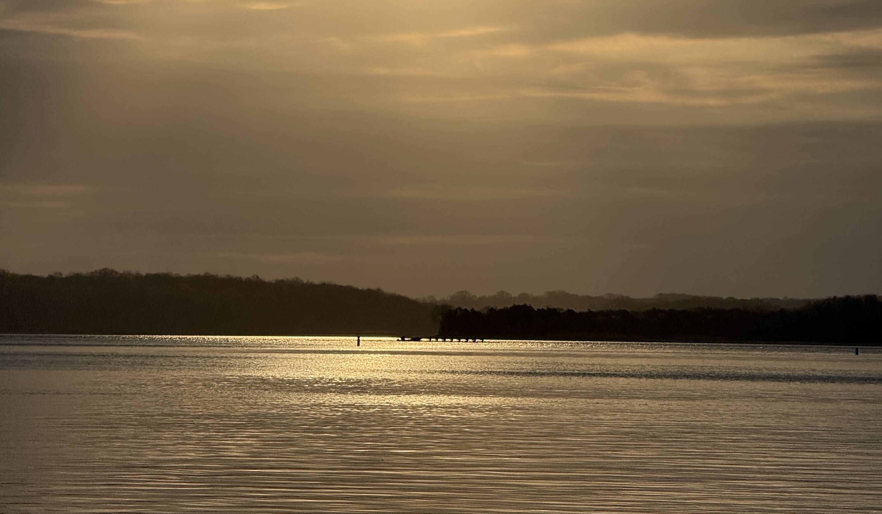 An amber sunrise over Percy Priest Lake, around 6:00am